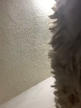 talitasilvx online show from 03-18-25, 11:09