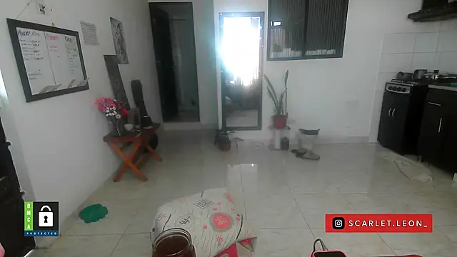 Scarletleon77 online show from 04-08-26, 04:07