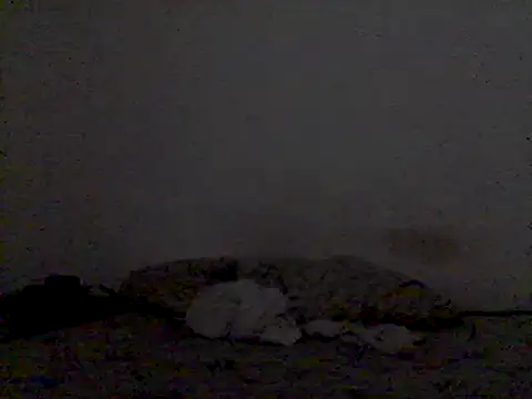 Snapshot of mariy_ chatting on 03-03-25, 09:48 mariy  online show from 03-03-25, 09:48