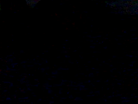 Snapshot of mariy_ chatting on 03-16-25, 12:56 mariy  online show from 03-16-25, 12:56