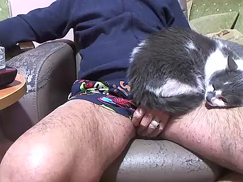 zormen355 online show from 04-08-26, 07:47