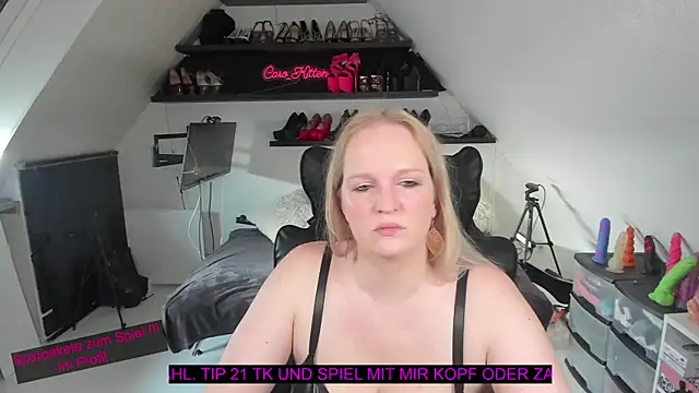 caro kitten online show from 01-17-26, 11:04