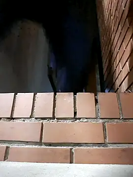 Petrossa online show from 11-24-25, 12:21