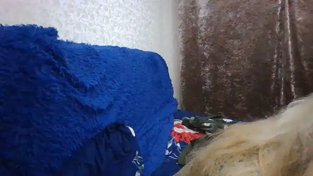 CarlyTreat online show from 11-30-25, 04:00