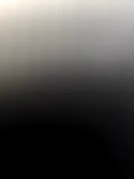 Snapshot of Rikipollav chatting on 03-08-26, 04:22 Rikipollav online show from 03-08-26, 04:22