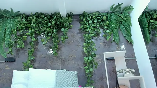 Snapshot of emily_hunter12 chatting on 05-18-26, 01:50 emily hunter12 online show from 05-18-26, 01:50