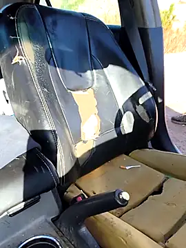 FloppyPickle4u online show from 03-09-26, 04:22