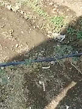 DADDY69SS online show from 02-08-26, 08:51