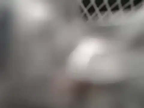 Snapshot of lovense_test04 chatting on 03-07-25, 02:25 lovense test04 online show from 03-07-25, 02:25