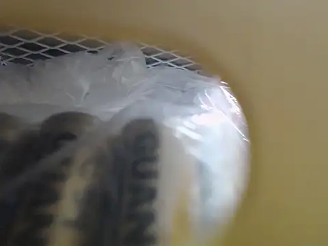 Snapshot of lovense_test04 chatting on 10-16-25, 03:51 lovense test04 online show from 10-16-25, 03:51