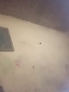 Snapshot of sexlockoxxx chatting on 01-11-26, 11:10 sexlockoxxx online show from 01-11-26, 11:10