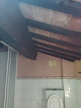 cek 186 online show from 05-17-26, 06:44