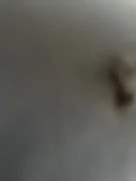 eveangelll online show from 03-22-25, 08:08