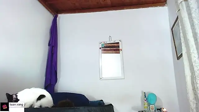 Trix fiore oficial online show from 01-14-26, 03:01