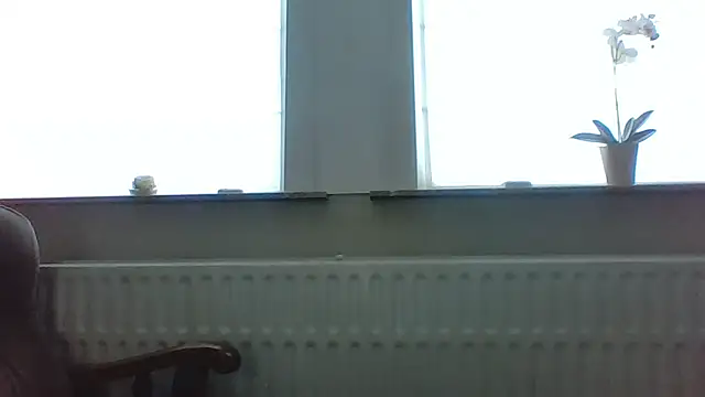bertolini online show from 05-13-26, 04:59