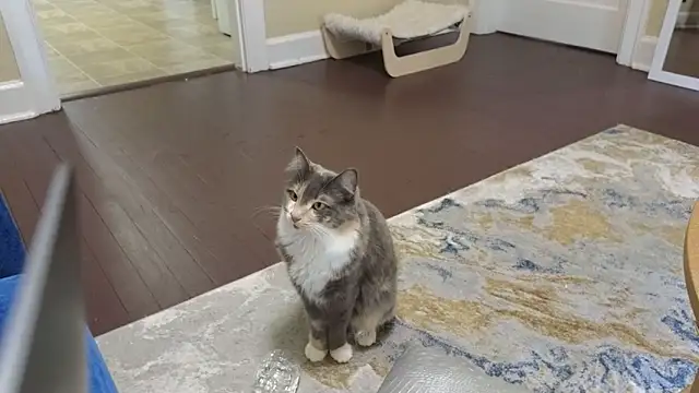 sexylilly69 online show from 04-11-26, 09:52