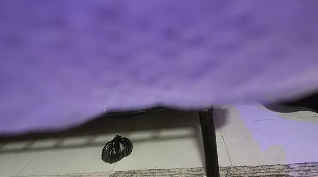 sweet-greedy online show from 02-06-25, 05:19