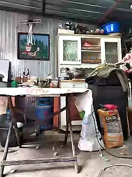 Sarpe84 online show from 01-24-25, 09:17