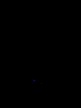 RIP Curl online show from 10-17-25, 06:49