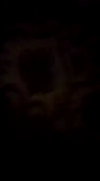 WreckedCrop online show from 03-02-25, 08:29