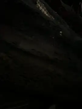 AmberGreyy  online show from 07-30-26, 07:35