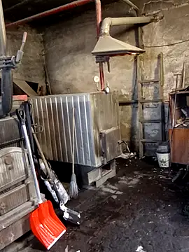 MityaXLoves online show from 01-19-26, 07:01