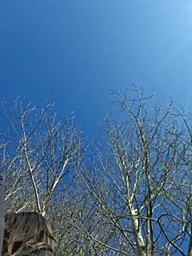 LydiaMaus96 online show from 04-21-26, 01:39