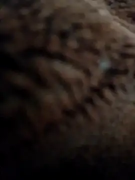 Priya Bong online show from 11-10-25, 03:05