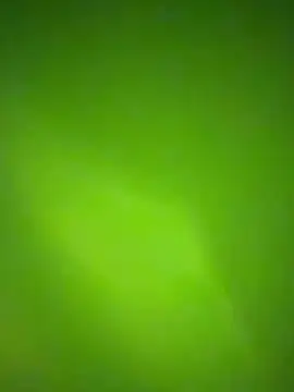 nene fun online show from 01-31-26, 10:08