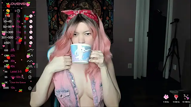 Project hisoka online show from 04-11-26, 08:29