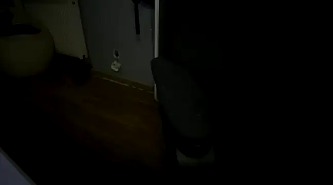 Snapshot of needride_virgin chatting on 01-09-25, 06:17 needride virgin online show from 01-09-25, 06:17