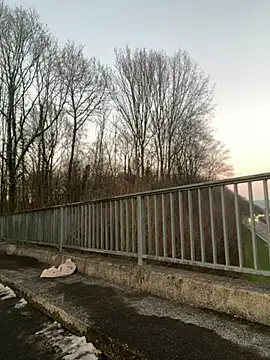 NickyGold Official online show from 01-18-25, 04:10