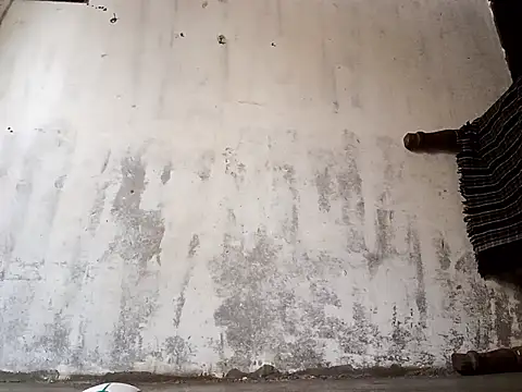 Yasha 14C Creator online show from 01-17-26, 05:01