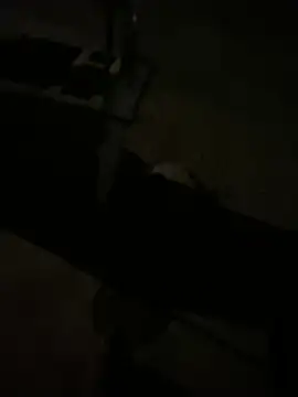 nowex18 online show from 03-11-26, 06:41