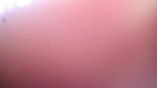 Dana Jeins online show from 07-29-26, 07:23