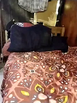 Stallion100 online show from 02-12-25, 08:06