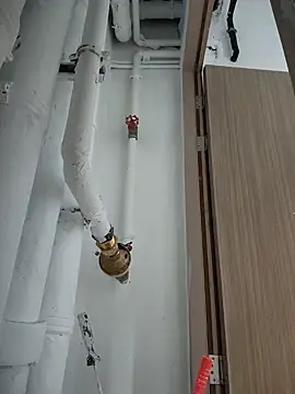 2tomka52052sex online show from 01-08-25, 07:03