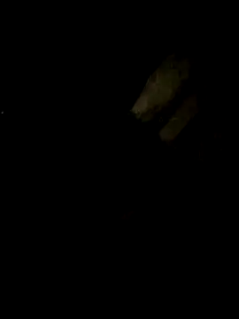 Snapshot of Tamil_boy_age28 chatting on 02-22-25, 05:24 Tamil boy age28 online show from 02-22-25, 05:24