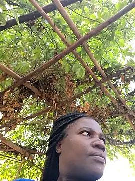 missarpie online show from 01-15-26, 11:37