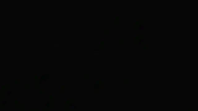 guy master online show from 12-07-24, 02:09