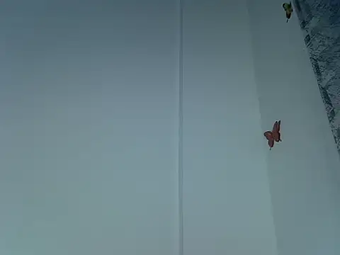 laetitia  online show from 09-29-25, 10:47