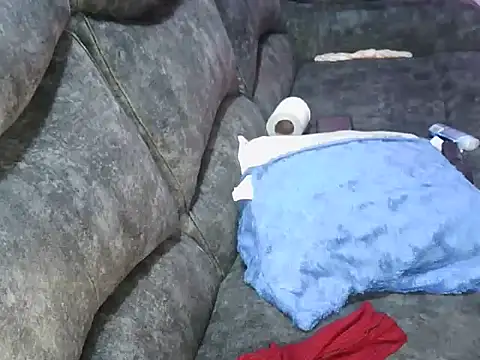 petitev online show from 03-02-26, 05:08