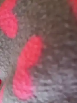 Noviostoxico online show from 01-15-26, 02:10