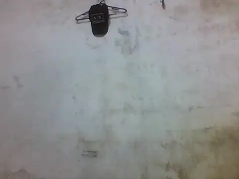 Leopardogonza online show from 10-20-25, 11:38