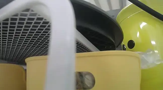 Snapshot of Lovensetest chatting on 12-19-24, 10:24 Lovensetest online show from 12-19-24, 10:24