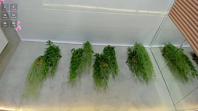 Lana Lann online show from 03-15-25, 03:06