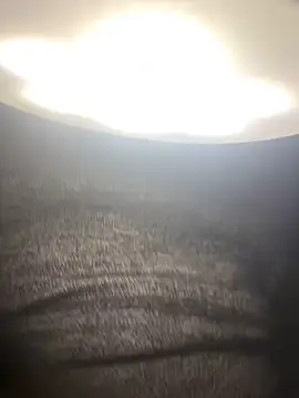 amy gata online show from 02-03-26, 08:52