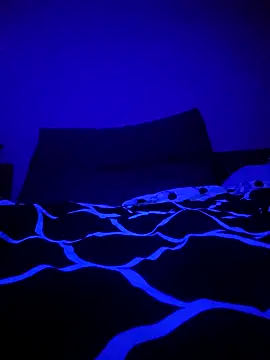 McdyllanXX online show from 01-11-25, 01:06