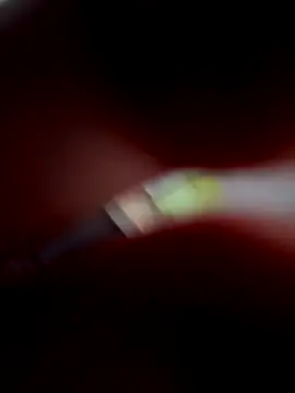 VixyGang online show from 09-30-25, 07:41