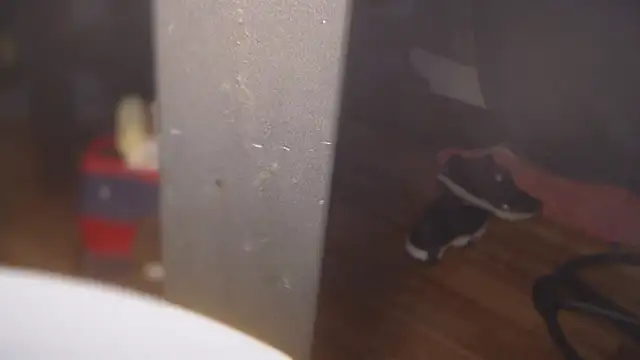 flexingplexico online show from 03-01-25, 08:31